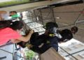 bomberos-rescate-gato-12