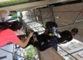 bomberos-rescate-gato-13