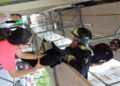bomberos-rescate-gato-14