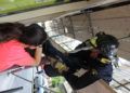 bomberos-rescate-gato-2