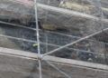 bomberos-rescate-gato-3