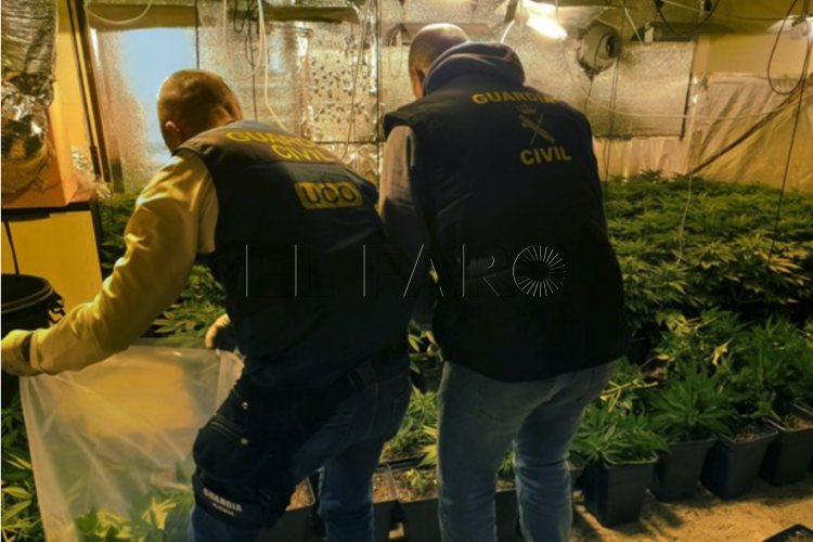 guardia-civil-detenciones-droga