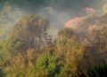 hidroavion-incendio-forestal-1