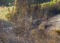 hidroavion-incendio-forestal-20
