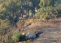 hidroavion-incendio-forestal-21