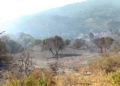 hidroavion-incendio-forestal-22