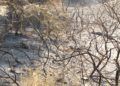hidroavion-incendio-forestal-23