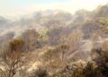 hidroavion-incendio-forestal-3