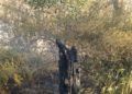 hidroavion-incendio-forestal-31