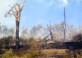 hidroavion-incendio-forestal-33