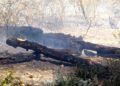 hidroavion-incendio-forestal-34