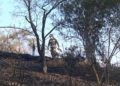 hidroavion-incendio-forestal-35