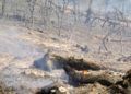 hidroavion-incendio-forestal-37