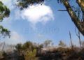 hidroavion-incendio-forestal-39