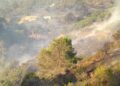 hidroavion-incendio-forestal-4
