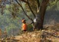hidroavion-incendio-forestal-46