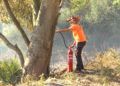 hidroavion-incendio-forestal-47