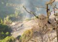 hidroavion-incendio-forestal-5