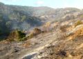 hidroavion-incendio-forestal-7