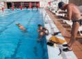 icd-orientacion-subactuatica-3