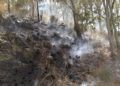 incendio-cercania-cementerio-musulman-1