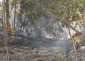 incendio-cercania-cementerio-musulman-10