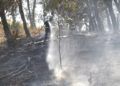 incendio-cercania-cementerio-musulman-16