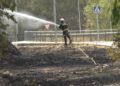 incendio-cercania-cementerio-musulman-17