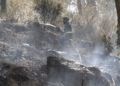 incendio-cercania-cementerio-musulman-2