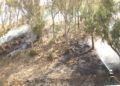 incendio-cercania-cementerio-musulman-6