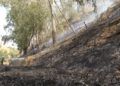 incendio-cercania-cementerio-musulman-8