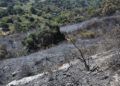 incendio-dia-despues-16