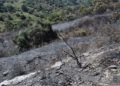 incendio-dia-despues-18