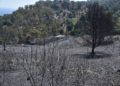 incendio-dia-despues-27