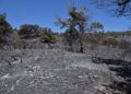 incendio-dia-despues-34