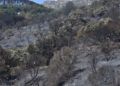 incendio-dia-despues-37