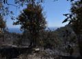 incendio-dia-despues-38