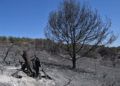 incendio-dia-despues-40