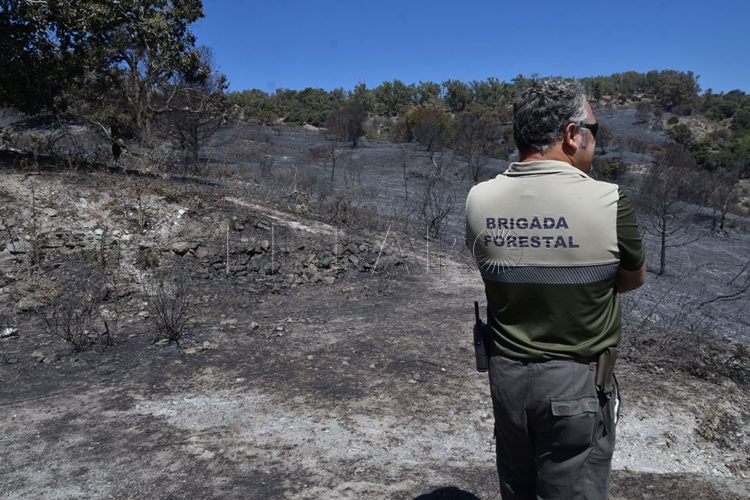 incendio-dia-despues-48