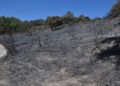 incendio-dia-despues-51