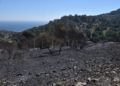 incendio-dia-despues-52