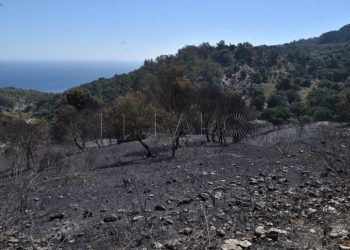 incendio-dia-despues-52
