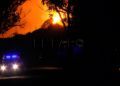 incendio-forestal-10