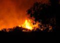 incendio-forestal-13