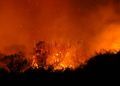 incendio-forestal-14