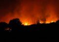 incendio-forestal-15