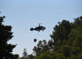 incendio-forestal-21