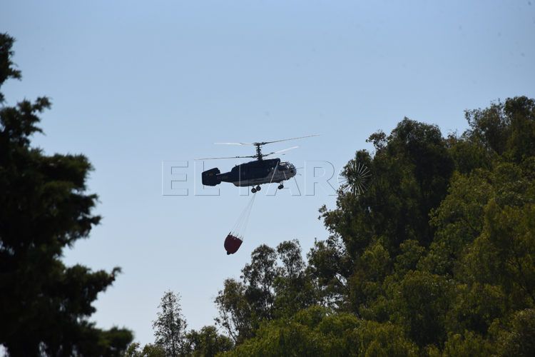 incendio-forestal-21