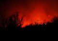 incendio-forestal-4