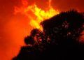 incendio-forestal-7
